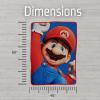 imagePokemon Anime Pikachu and Eevee Kids Bedding Super Soft Micro Raschel Throw 46 in x 60 in Official Licensed Product by FrancoThe Super Mario Bros Movie