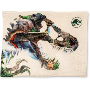 imagePokemon Anime Pikachu and Eevee Kids Bedding Super Soft Micro Raschel Throw 46 in x 60 in Official Licensed Product by FrancoJurassic World Rebirth