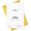 imageHallmark Pokmon Birthday Card Wild PikachuWild Pikachu