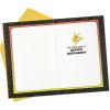 imageHallmark Pokmon Birthday Card Wild PikachuWild Pikachu