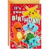 imageHallmark Pokmon Birthday Card Wild PikachuPikachu  Squirtle  Charmander  Bulbasaur